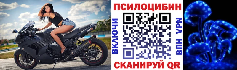 Галлюциногенные грибы Magic Shrooms Карпинск