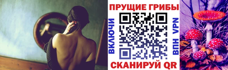 Галлюциногенные грибы Psilocybe  Купить где  Карпинск 